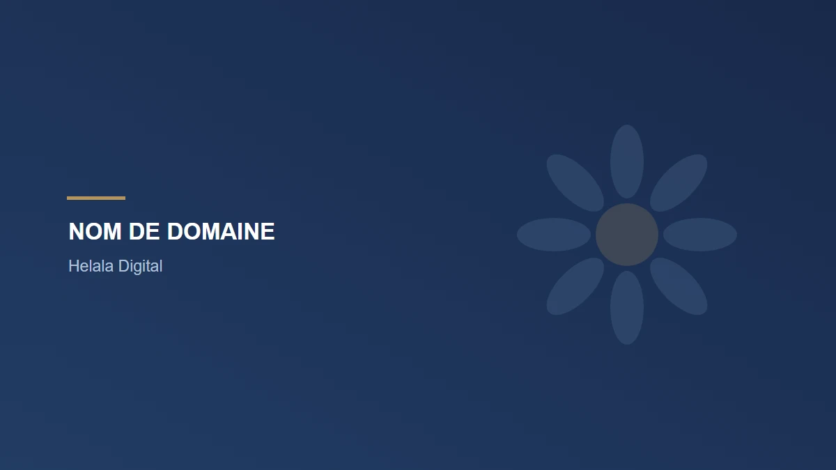 Choisir un nom de domaine, et ne jamais le perdre